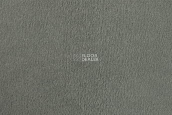 Ковролин Vorwerk Passion 1000/Modena Vorwerk 5b47 фото 1 | FLOORDEALER