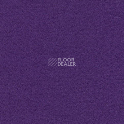 Ковролин Finett Feinwerk 753505 фото 1 | FLOORDEALER