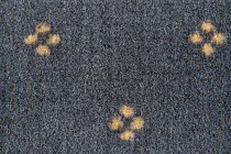 Haima Chic 02 фото 3 | FLOORDEALER