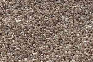 Ковролин AW Perseus 34 фото  | FLOORDEALER