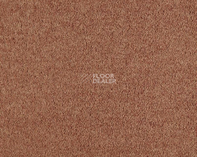 Ковролин Lano Lounge 332 Apricot 2 фото 1 | FLOORDEALER