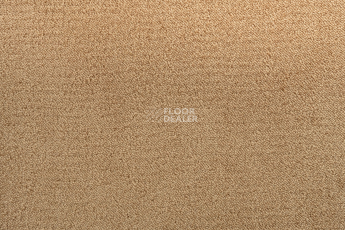 Lano Sense Pure 338 фото 2 | FLOORDEALER