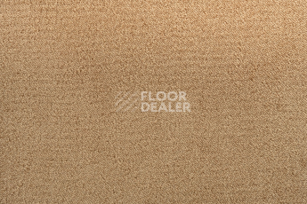 Lano Sense Pure 338 фото 2 | FLOORDEALER