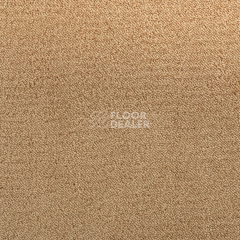 Lano Sense Pure 338 фото 2 | FLOORDEALER
