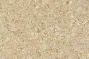 Линолеум Grabo Fortis Caramel фото  | FLOORDEALER