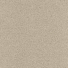 Desso Marathon 1321 фото 1 | FLOORDEALER