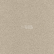 Ковролин Desso Marathon 1321 фото 1 | FLOORDEALER