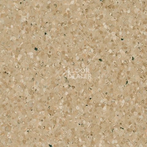 Линолеум Forbo Sphera Essence 50527 hop фото 1 | FLOORDEALER