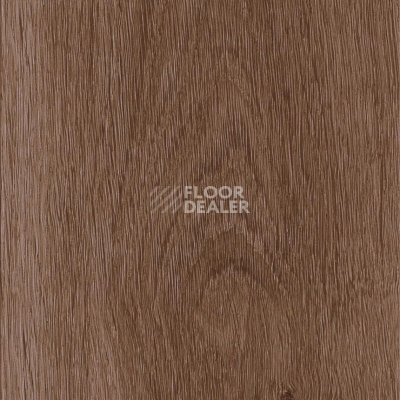 Кварцвиниловые полы AW Invictus Maximus Plank Highland Oak Chocolate фото 1 | FLOORDEALER