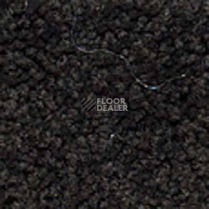 Ковролин Girloon Body1 771 фото 1 | FLOORDEALER