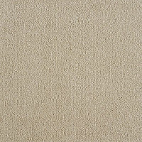 Ковролин Big Divine 331 фото 1 | FLOORDEALER