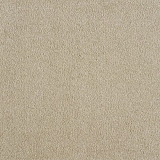 Big Divine 331 фото 1 | FLOORDEALER