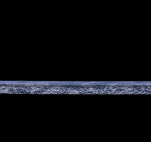 Tarkett Primo Plus 310 фото 3 | FLOORDEALER