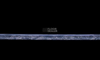 Tarkett Primo Plus 310 фото 3 | FLOORDEALER