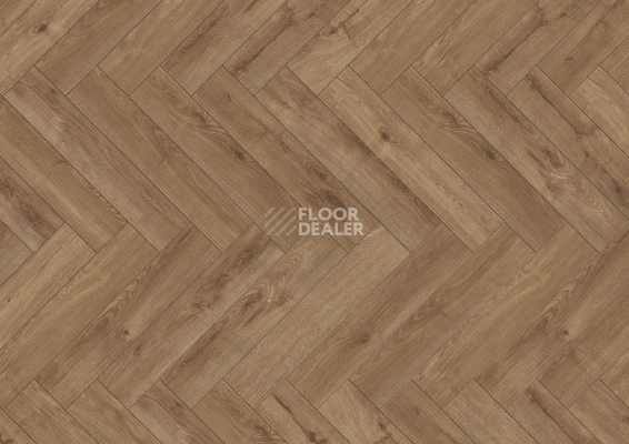 Ламинат Terhurne Herringbone Edition New Дуб Лодж фото 1 | FLOORDEALER