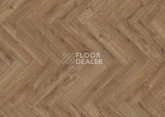 Ламинат Terhurne Herringbone Edition New Дуб Лодж фото 1 | FLOORDEALER