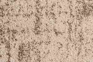 Ковролин Balta Sensit Glenmore Wilton 2302 620 фото  | FLOORDEALER