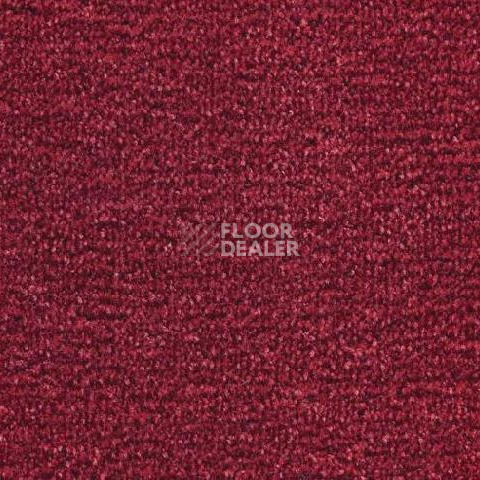 Ковролин Sintelon Dragon 79431 фото 1 | FLOORDEALER