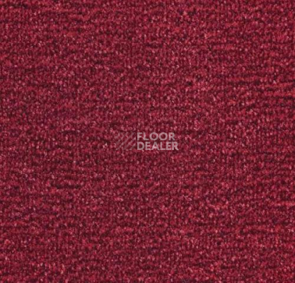 Ковролин Sintelon Dragon 79431 фото 1 | FLOORDEALER