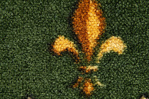 Haima Lily Green фото 3 | FLOORDEALER