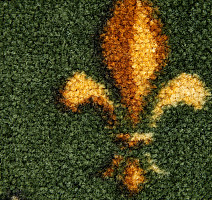 Haima Lily Green фото 3 | FLOORDEALER