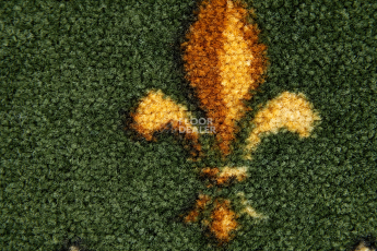 Haima Lily Green фото 3 | FLOORDEALER