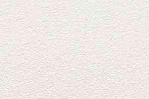 Ковролин Balta Amour Amour 0600 фото  | FLOORDEALER