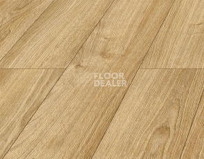 Kronopol Platinium Akaba AQUA BLOCK 8mm Kronopol Platinium Akaba Aqua Block 24h Дуб Эстер D4524 фото 2 | FLOORDEALER