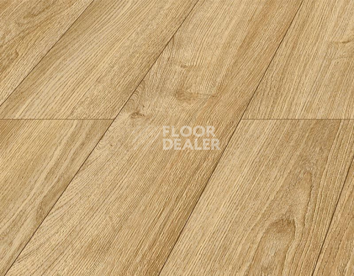 Ламинат Kronopol Platinium Akaba AQUA BLOCK 8mm Kronopol Platinium Akaba Aqua Block 24h Дуб Эстер D4524 фото 2 | FLOORDEALER