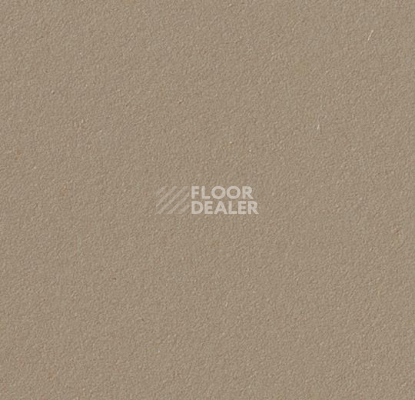 Линолеум Forbo Marmoleum Bulletin Board 2067 фото 1 | FLOORDEALER
