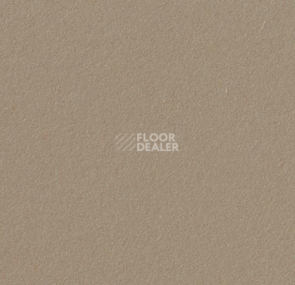 Линолеум Forbo Marmoleum Bulletin Board 2067 фото 1 | FLOORDEALER