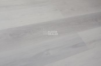 Evofloor Optima Click 4.2мм Дуб Снежный фото 4 | FLOORDEALER