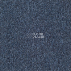 Ковровая плитка Tarkett Sky Original Sky 44882 фото 1 | FLOORDEALER