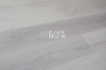 Evofloor Optima Click 4.2мм Дуб Снежный фото 4 | FLOORDEALER