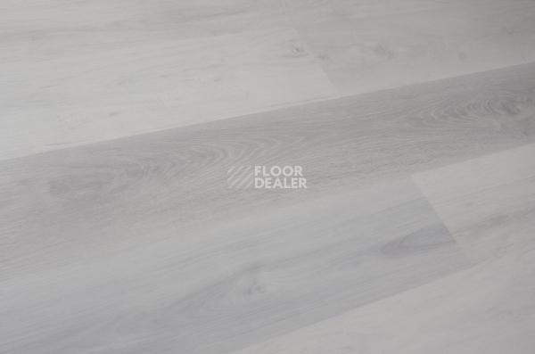 Evofloor Optima Click 4.2мм Дуб Снежный фото 4 | FLOORDEALER