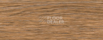 Плинтус Dollken EP 60/13 2627 фото 2 | FLOORDEALER