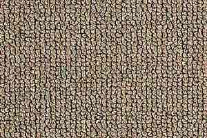 Ковролин Balta Mustang 820 фото  | FLOORDEALER