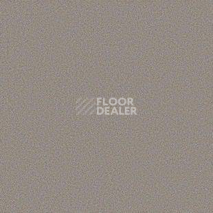 Линолеум Tarkett Acczent Mineral As 100003 фото 1 | FLOORDEALER