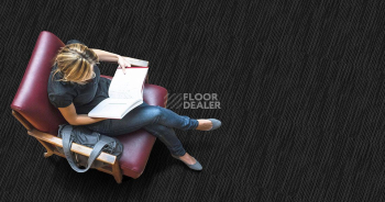 Cameo Cameo 779 фото 2 | FLOORDEALER