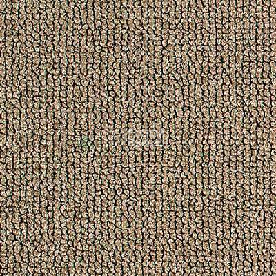 Ковролин Balta Mustang 820 фото 1 | FLOORDEALER