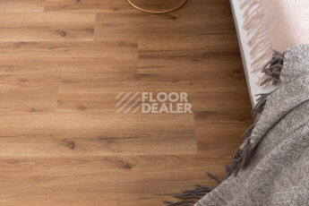 Vinilpol Click 5мм 8833-EIR Дуб Сан-Ремо фото 7 | FLOORDEALER