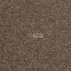 Ковровая плитка Modulyss Cambridge 823 фото 1 | FLOORDEALER