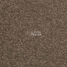 Ковровая плитка Modulyss Cambridge 823 фото 1 | FLOORDEALER