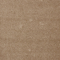 Ковролин AW Masquerade Fedone 41 фото 1 | FLOORDEALER