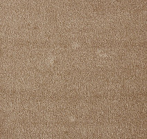 Ковролин AW Masquerade Fedone 41 фото 1 | FLOORDEALER