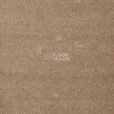 Ковролин AW Masquerade Fedone 41 фото 1 | FLOORDEALER