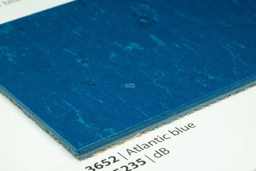 Forbo Marmoleum Solid Piano 3652-365235 Atlantic blue фото 3 | FLOORDEALER
