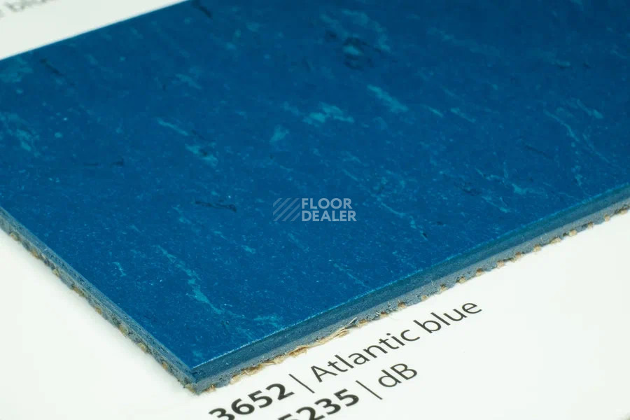 Forbo Marmoleum Solid Piano 3652-365235 Atlantic blue фото 3 | FLOORDEALER