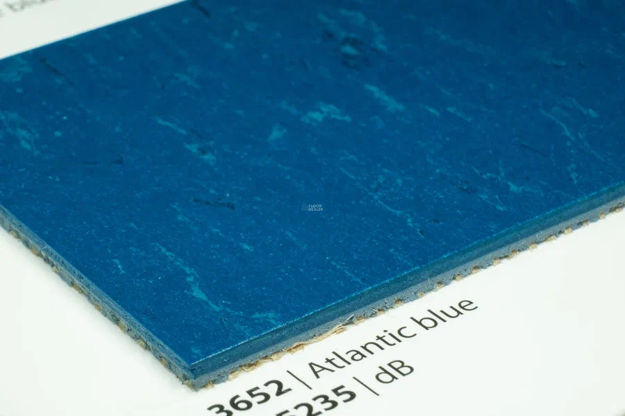 Forbo Marmoleum Solid Piano 3652-365235 Atlantic blue фото 3 | FLOORDEALER