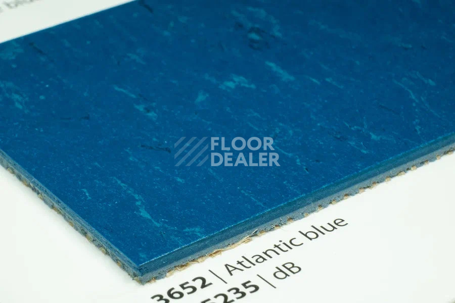 Линолеум Marmoleum Solid Piano 3652-365235 Atlantic blue фото 2 | FLOORDEALER